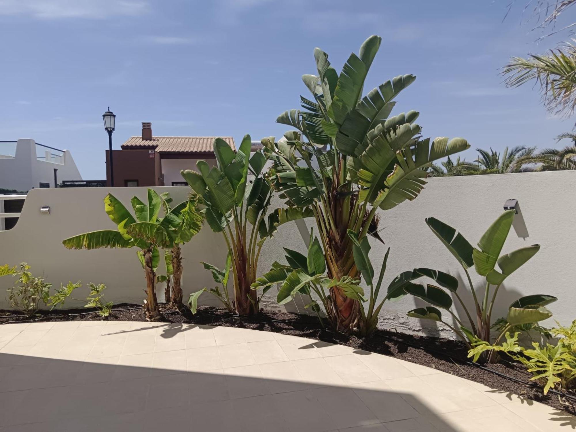 Homeforguest Flat With Large Terrace In Modern Residential Complex With Swimming Pool กาเลตาเดฟุสเต ภายนอก รูปภาพ